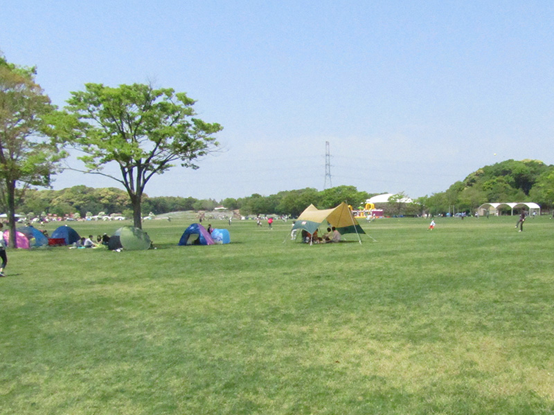 響灘緑地 グリーンパーク 福岡県最大級のバラ園が大人気の巨大な公園 キタキュースタイル 北九州市の街と人の魅力を発信するローカルwebメディア