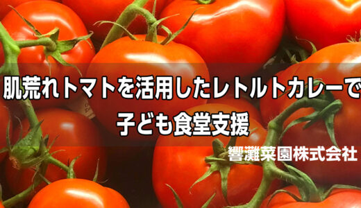 九州栄養福祉大学と響灘菜園 肌荒れトマトを活用したレトルトカレーを子ども食堂へ #PR #パートナー企業