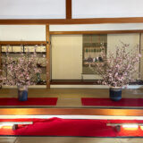 小倉城庭園書院棟で「花見茶席」　“花見の名所”小倉城で一足先に春を感じる