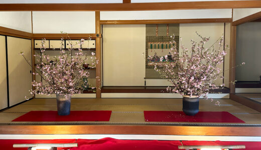 小倉城庭園書院棟で「花見茶席」　“花見の名所”小倉城で一足先に春を感じる