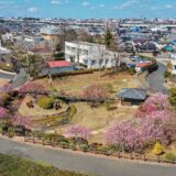 季節のお花の植え替えと寄せ植えを学べる　花農丘公園で園芸講習会【北九州市小倉南区】